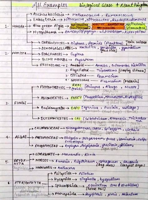 Abc Of Biology, Class 10 Biology Notes Chapter 1, One Page Notes For Neet Biology, Bio Neet Notes, Plant Kingdom Mind Map, Neet 2024 Tips, Living World Class 11 Notes Neet, Plant Kingdom Notes Neet, Biological Classification Short Notes