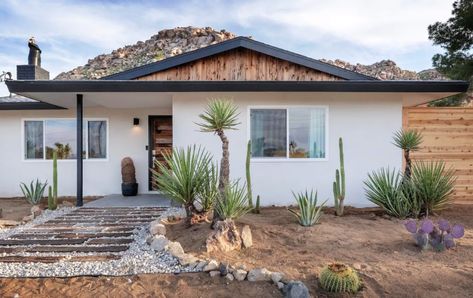 Desert Home Exterior, Desert Yard, Modern Desert Home, Desert Backyard, Desert Retreat, Design Yard, Joshua Tree House, Oasis Springs, Luxury Residence