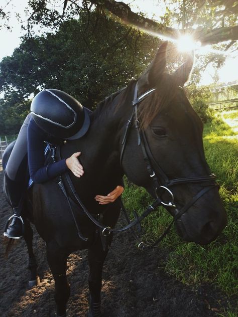 Black Horse, The Back, Sun, Blue, Black