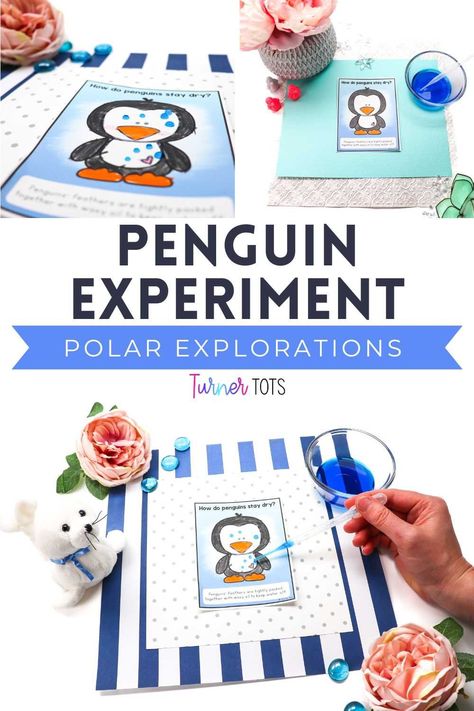 How do penguins stay dry? Let’s find out with this Arctic science experiment for kids! Your preschoolers will thoroughly enjoy discovering how penguin feathers repel water droplets to stay dry in their polar environment. Kick off the fun and exploration throughout the Arctic habitat with this penguin science activity for preschool during your polar theme! Winter Animals Science Preschool, Prek Arctic Animals, Arctic Animals Science Experiment, Animal Science Experiments Preschool, Penguin Science Preschool, Arctic Animal Theme Preschool, How Do Penguins Stay Dry Experiment, Arctic Science Experiments For Kids, Preschool Penguin Theme