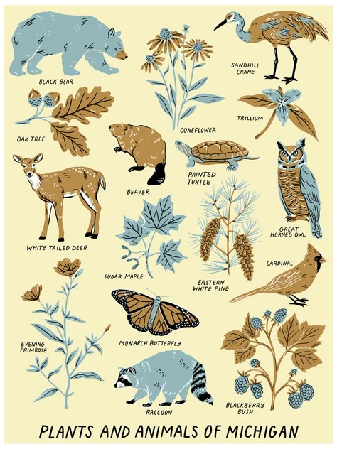 Wilderness Illustration, Michigan Animals, Conservation Illustration, Michigan Illustration, Wildlife Poster, Animal Poster Design, Wildlife Illustration, Nature Poster, Michigan Poster