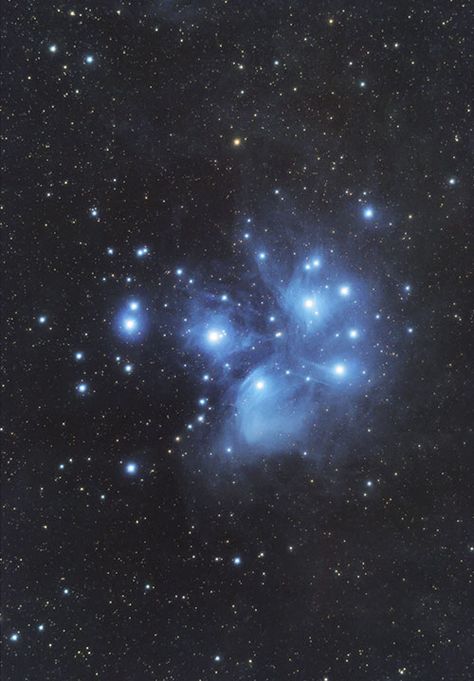 Amateur astrophotography images of the Pleiades Star Cluster by Trevor Jones. The Pleiades Star Cluster, Stars Images Night Skies, Stars Up Close, Taurus Constellation Wallpaper, Pretty Constellations, Constilations Aesthetic, Stars Reference, Constellations Aesthetic, The Stars Aesthetic