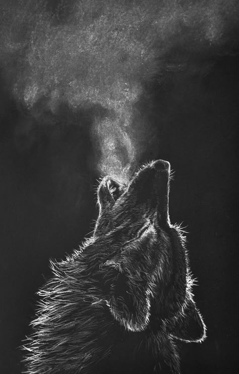 https://flic.kr/p/BeHLLc | howling wolf | white color pencil drawing on black paper Black Paper Art, Scratchboard Art, Black Paper Drawing, White Drawing, Paper Drawing, Black And White Drawing, Wolf Art, A Wolf, Black Paper