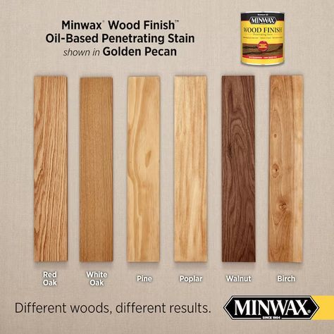 Minwax Wood Finish Oil-Based Golden Pecan Semi-Transparent Interior Stain (Half-Pint) in the Interior Stains department at Lowes.com Staining Oak, Minwax Gel Stain, Unfinished Wood Furniture, Special Walnut Stain, Stain On Pine, Pecan Wood, Minwax Stain, Oil Based Stain, Floor Stain