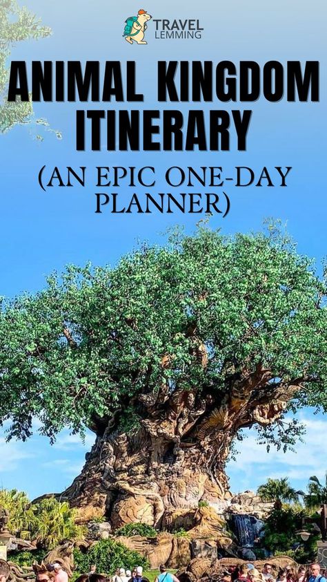 The Animal Kingdom tree at Disney's Animal Kingdom in Florida Animal Kingdom Itinerary, Animal Kingdom Rides, Disney World Animal Kingdom, Disney Animal Kingdom, Disney Florida, Animal Kingdom Lodge, Disney Attractions, Disney World Vacation Planning, Disney Trip Planning