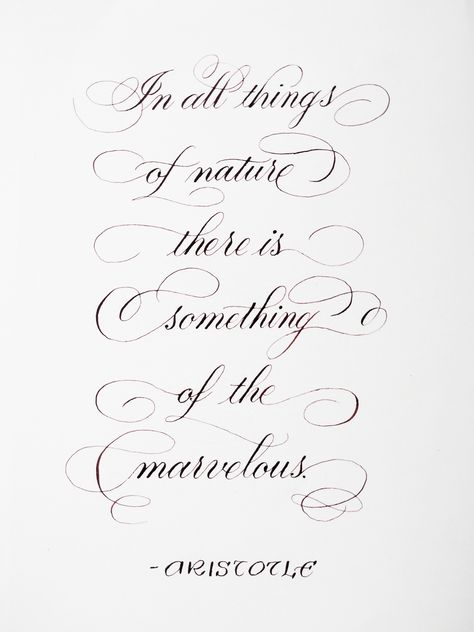 Flourished Calligraphy Quotes, Flourishing Calligraphy Quotes, Flourish Calligraphy Quotes, Copperplate Calligraphy Flourishes, Flourishes Calligraphy Alphabet, Copperplate Calligraphy Quotes, I Calligraphy Letter, Flourishing Calligraphy Alphabet, Letter I Calligraphy