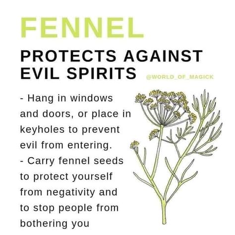 Fennel Witchcraft, How To Remove Evil Spirits From Your Home, Prayers For Evil Spirits, Witch Runes, Space Cleansing, Protection From Evil Spirits, Protection Against Evil Spirits, Herbs For Protection, Harpers Ferry West Virginia