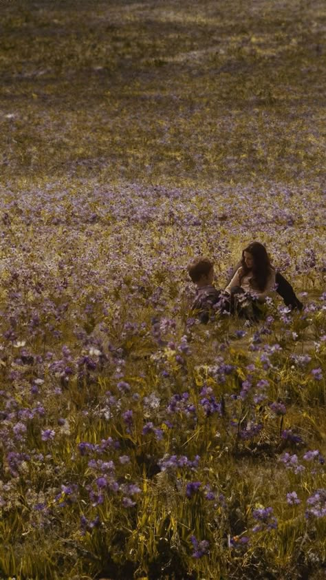 Twilight Meadow, Twilight Wedding, Twilight Love, Twilight Core, Twilight Vibes, Twilight Aesthetic, Twilight Photos, Twilight Book, Twilight Film