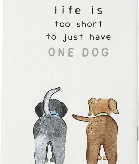 Dog Quotes Love, Lovers Quotes, Dog Rules, Mud Pie, Dog Quotes, Dog Art, Dog Life, I Love Dogs, The Words