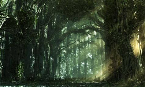 Agrin's Gate – Part VII: Tales of their pasts, The Feywild, The Town | Dave Lenton's Blog Alice Madness Returns, Alice Madness, Fantasy Forest, Magical Forest, Into The Woods, Abraham Hicks, Sacred Space, Middle Earth, Enchanted Forest