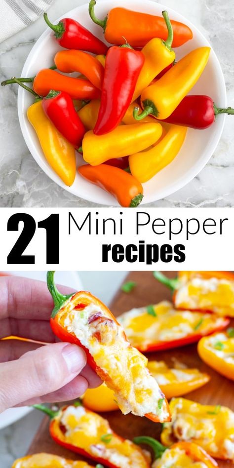 Mini Sweet Pepper Recipes, Mini Pepper Recipes, Stuffed Peppers Appetizer, Mini Peppers Recipes, Pepper Recipes Healthy, Sweet Pepper Recipes, Red Pepper Recipes, Mini Peppers, Stuffed Peppers Healthy