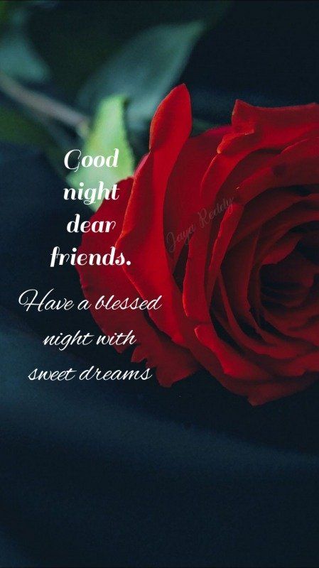 Good Night Love You Dear - DesiComments.com Good Night Love You, Good Night Pictures, Good Night Dear Friend, Have A Blessed Night, Goodnight Messages, Good Night Qoutes, Good Night Love, Good Night Hindi, Good Morning Smiley