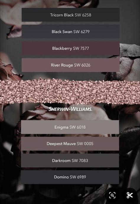 Mauve Plum Rose Gold Navy Bedroom, Gothic Paint Palette, Dark Academic Colour Palette, Behr Color Pallets, Dark Academia Aesthetic Paint Colors, Unique Cabinet Color Ideas, Black Cherry Wall Paint, Mauve And Black Color Palette, Black Home Color Palette