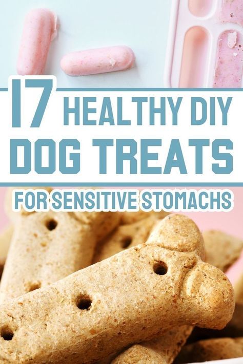 If your dog has gluten allergies or sensitivies, try one of these healthy DIY dog treats for sensitive stomachs. We share 17 easy gluten free dog treats recipes you can make at home. From frozen dog treats to baked dog biscuits, all these dog treat recipes are wheat free! Home Made Dog Treats Recipe, Gluten Free Dog Treat Recipes, Dog Treats Diy, Wheat Free Dog Treats, Healthy Dog Biscuits, Banana Dog Treat Recipe, Gluten Free Dog Treats, Dog Cookie Recipes, Pet Treats Recipes