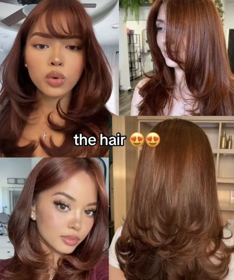 Brown Hair Morena Skin, Plus Size Hair Color Ideas, Deep Auburn Curly Hair, Auburn Hair Color On Tan Skin, Copper Reddish Brown Hair, Tan Hair Color Skin, Light Brown Skin Hair Color Ideas, Back Hair Layers, Colored Hair For Tan Skin