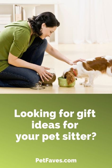 Not sure what type of gift to get your pet sitter as a Thank You gift for caring for your pet? Check out these pet sitter gift ideas.    #giftidea #petsitter #thankyougift Pet Christmas Gifts Ideas, Diy Gifts For Pet Lovers, Pet Owner Gifts, Pet Sitter Gift Ideas, Diy Dog Gifts, Pet Sitter Gifts, Dog Themed Gifts, Pet Parent Gifts, Dog Swimming