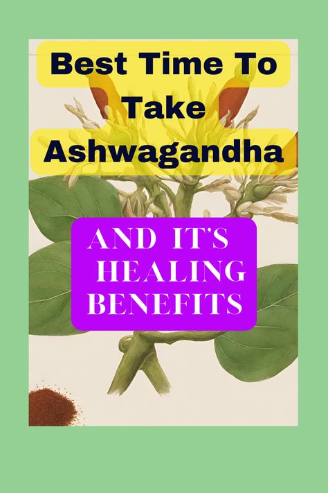 Herbs For Health Ashwagandha Benefits For Women, Period Cramps Relief, Herb Uses, Ashwagandha Benefits, Detoxifying Food, Benefits Of Vitamin A, Natural Path, Top Essential Oils, Ancient Healing