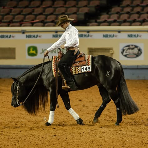 Ranch Horses Working, Western Pleasure Aesthetic, Western Reining Horse, Reining Horses Photography, Western Equitation, Western Pleasure Riding, Romal Reins, Western Horse Riding, Working Cow Horse