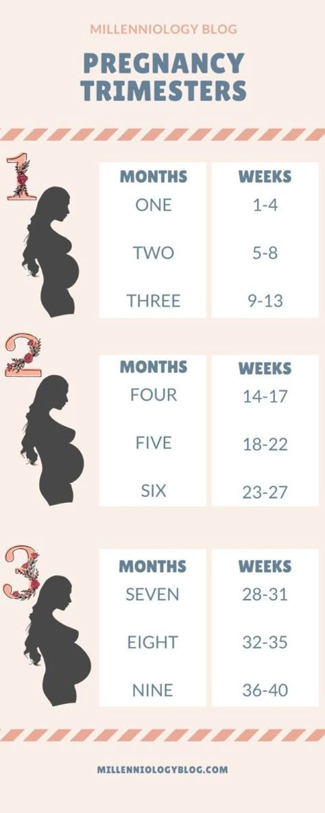 Pregnancy Chart, 5 Weeks Pregnant, Pregnancy Facts, First Time Pregnancy, November Baby, Pregnancy Week, Pregnancy Info, Newborn Baby Tips, Newborn Mom