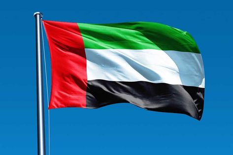 Sheikh Khalifa Bin Zayed, United Arab Emirates Flag, Bullish And Bearish, Emirates Flag, Uae Flag, Dubai Architecture, Uae National Day, Golden Jubilee, April 6