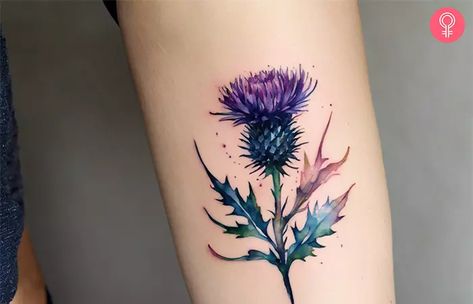 Thistle And Wildflower Tattoo, Thistle And Lavender Tattoo, Small Thistle Tattoos For Women, Scottish Dirk Tattoo, Scotland Tattoos For Women, Purple Thistle Tattoo, Witch Hazel Tattoo, Small Scottish Tattoos For Women, Scottish Thistle Tattoo Simple