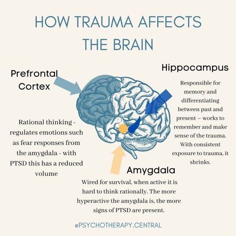 Tips for taking care of yourself and your mental health during the holiday season from Kate Heitzler & Associates, based in Northern Colorado - serving Colorado and Wyoming. Specializing in: Brainspotting, EMDR, Counseling, Families, Marriage, Recovery, and Trauma. . . . #mentalhealth #trauma #healingtrauma #healing #health #selfcare #wellbeing #emotionalhealth #therapy #relationships #childhood #family #brainchemistry #physical Psychology Notes, Psychology Studies, Brain Facts, Brain Anatomy, Autonomic Nervous System, Brain Science, Medical Knowledge, Therapy Tools, Neurology