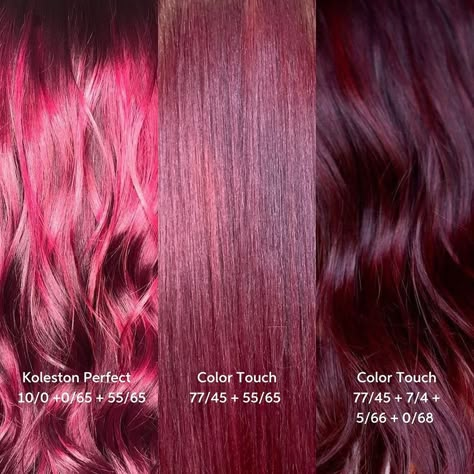 Wella Professionals Nordic on Instagram: “Now these are #VeryBerry colors that for sure will turn heads!! 🤩✨ Give the creators of these beauties @hairstylist_louise , @sofia.wella…” Bright Burgandy Hair, Coloured Hair Bright, Pink Burgundy Hair, Burgundy Hair Formula, Bright Burgundy Hair, Maroon And Pink Hair, Vivid Red Hair Color, Cool Tone Red Hair, Burgundy And Pink Hair