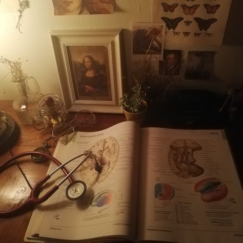 Anatomy Doctor Aesthetic, Grunge Doctor Aesthetic, Doctor Vintage Aesthetic, Nurse Aesthetic Vintage, Medicine Vintage Aesthetic, Anatomist Aesthetic, Doctor Aethstetic, Heart Doctor Aesthetic, Old Doctor Aesthetic