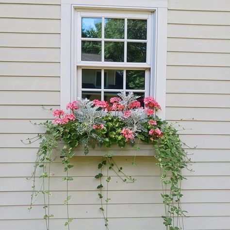 Outdoor Window Flower Boxes, Window Plants Outdoor, Nantucket Window Boxes, Outside Planters, Summer Planter, Window Box Flowers, Cute Diy Room Decor, Spring Plants, Diy Landscaping