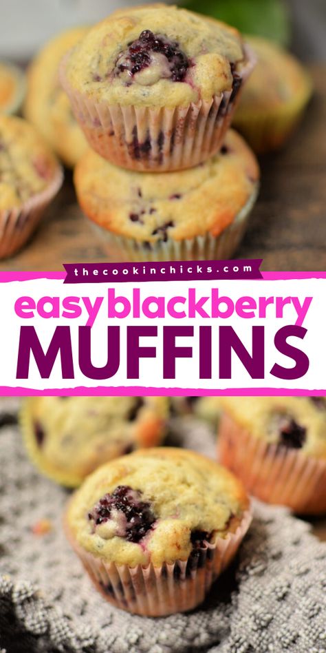 This Blackberry Muffins recipe is perfect for your Mother's Day brunch menu! A delectable summer breakfast idea that's simple, yet flavorful, moist and packed with juicy blackberries. This blackberry dessert recipe will brighten up anyone's morning! Easy Blackberry Muffins Recipes, Blackberry Oatmeal Muffins, Blackberry Muffins Recipes, Blackberry Breakfast Recipes, Black Raspberry Muffins, Blackberry Muffins Healthy, Recipes With Blackberries, Blackberry Muffins Easy, Blackberries Recipes