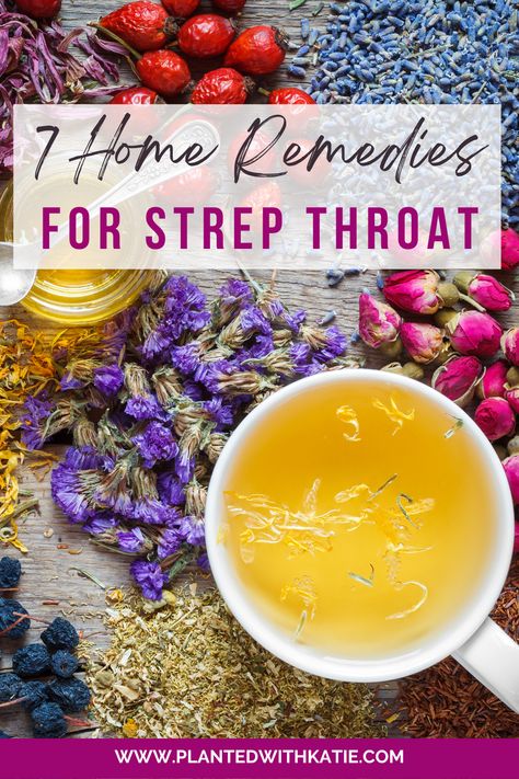 Explore these 7 amazing home remedies for strep throat! From soothing salt water gargles to the natural power of oregano oil, echinacea, and vitamin C, you'll learn how to ease discomfort, reduce inflammation, and boost your immune system. Your body will thank you! 🌿💪 #StrepThroatRemedies #NaturalHealing #FoodIsMedicine #herbalremedies Best Herbs For Sore Throat, Homeopathic Strep Throat Remedies, Holistic Remedies For Strep Throat, Herbal Remedies For Strep Throat, Healing Strep Throat Naturally, Diy Strep Throat Remedy, Natural Remedies For Swollen Tonsils, How To Heal Strep Throat Naturally, Homeopathic Sore Throat Remedies