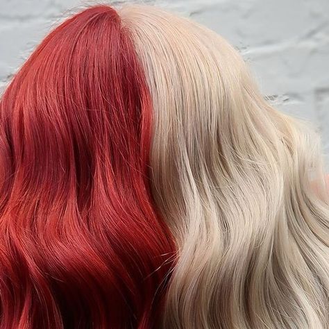 Pulp Riot Hair Color on Instagram: "Help us settle a debate, is it Gemini hair or split dye?   Hair by @tk.colorss (she/her) ❤️🤍 #PulpRiot is the paint.   🎨 Shades used: Shag Rug + Pyro + Fly Trap  Content description: the back of a person's head, they have long hair that is dark red on the left half and white blonde on the right half." Half Blonde Half Red Hair Split, Half Red Half White Hair, Red Split Dye Hair, Half Colored Hair, Split Dye Hair, Gemini Hair, Split Dye, Pulp Riot Hair Color, Split Dyed Hair