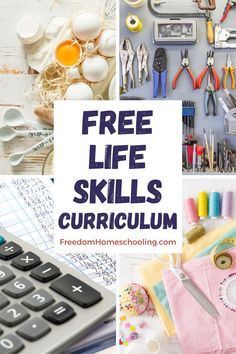 Home Economics Lessons Life Skills, High School Home Economics Curriculum, 4 Hour School Day, Home Economics For Preschool, Homeschool Home Economics Curriculum, Free Home Economics Curriculum, Homeschool Projects For Kindergarten, Life Skills Stations, Life Skills To Teach In Homeschool