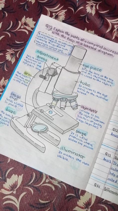 Microbiology Aesthetic Notes, Cytology Notes, Biology First Page Notebook, Microscope Notes, 8th Grade Notes, Science Notes Biology, Study Microbiology, Biology Notes Aesthetic, Notes Of Biology