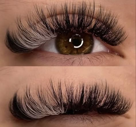 Lash Maps, Lash Ideas, Lash Extentions, Lashes Fake Eyelashes, Lash Extensions Makeup, Color Extensions, Lash Styles, Eyelash Extensions Styles, Perfect Eyelashes