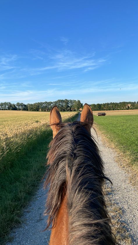 Horse Riding Countryside, Ride A Horse Aesthetic, Horseback Riding English, English Horseback Riding Aesthetic, Horseback Riding Photos, Horse Riding Photos, Horse Riding Pov, Trail Riding Aesthetic, Horse Back Riding Asethic