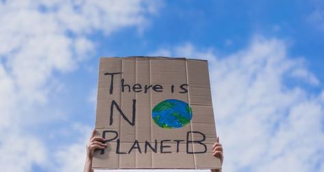 No Planet B, Protest Posters, Cardboard Painting, Colorful Paintings Acrylic, Create Awareness, Save Earth, Cool Paintings, South Wales, Natural Disasters