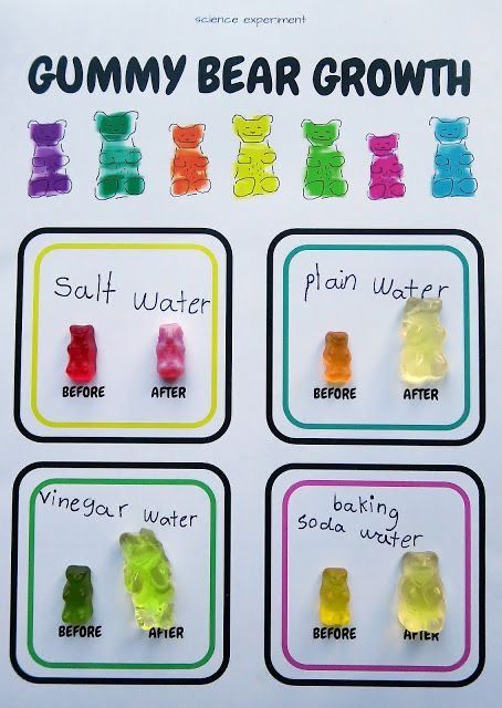 Kids Science Fair Projects, Vetenskapliga Experiment, Elementary Science Experiments, Science Experience, Science Fair Ideas, Science Fair Project, Kid Science, Experiments Kids, Kid Experiments