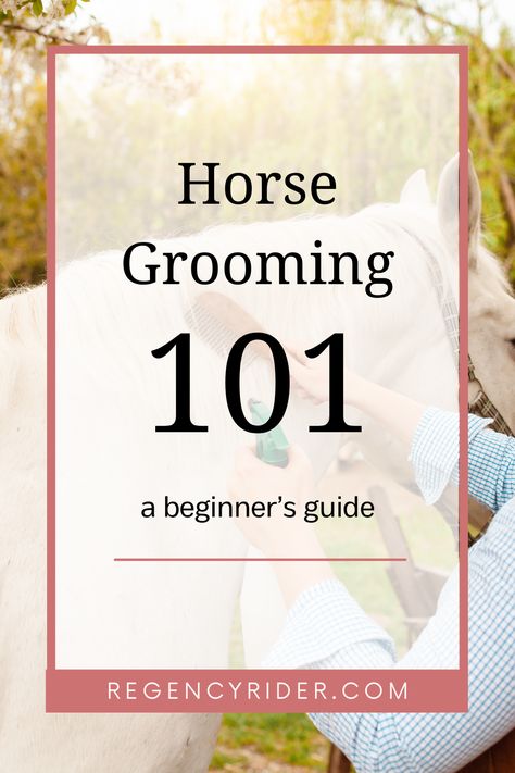 New to horse grooming? Learn the basics with our beginner’s guide to horse grooming! From brushing techniques to essential tools, this post covers everything you need to know to keep your horse clean and healthy. Click the link to read the full blog post! Plus, sign up for our free newsletter and receive a FREE eBook on common mistakes horse riders make—perfect for new riders. Don't miss out—join today for expert tips and valuable resources! Horse Care For Beginners, Grooming Horse, Horse Ownership, Equine Care, Hoof Care, Detangler Spray, Horse Grooming, Horses Equestrian, Equestrian Fashion