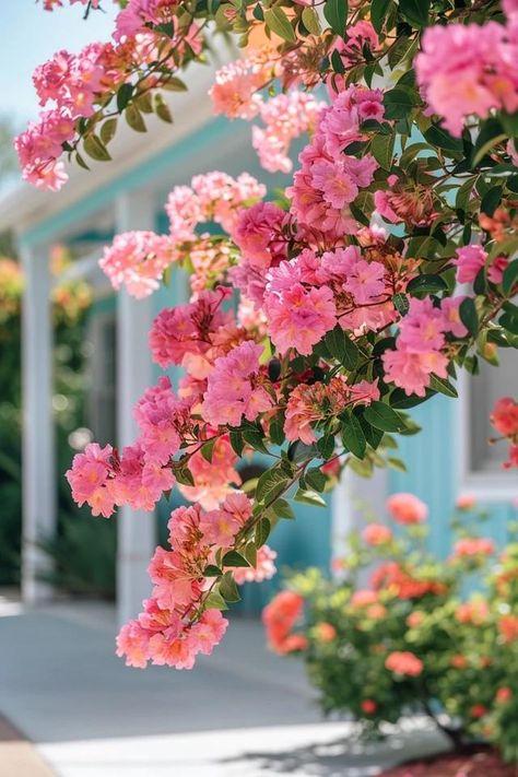 Crepe Myrtle Landscaping Ideas for Stunning Gardens Landscaping Around Crepe Myrtle, Crape Myrtle Landscaping, Crepe Myrtle Bush, Crepe Myrtle Landscaping, Ideas For Flower Beds, Coastal Autumn, Crepe Myrtle Trees, Stunning Gardens, Crepe Myrtles