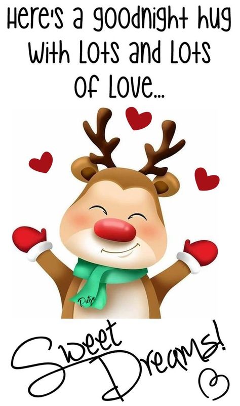 Christmas Good Night, Christmas Goodnight, Night Hug, Funny Good Night Images, Good Night Hug, Funny Good Night Quotes, Funny Good Night, Goodnight Messages, Good Night All