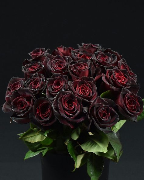 Aurélie Rosa Romano has been through so much. Her mother died when sh… #action #Action #amreading #books #wattpad Black Magic Roses, Under Your Spell, Black Magic, Black Rose, Rose Bouquet, Dark Aesthetic, You And I, Wedding Events, Black