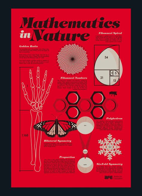 https://www.behance.net/gallery/57074519/AFE-Mathematics-in-Nature Golden Ratio In Nature, Fibonacci In Nature, Mathematics In Nature, Math In Nature, Maths In Nature, Math Art Projects, Mathematics Art, Barcelona Wallpapers, Math Posters