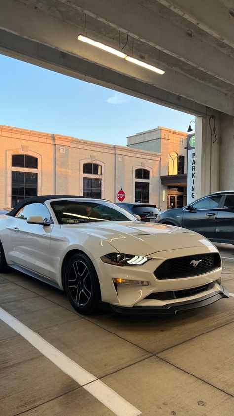 Mustang S550, White Mustang, Ford Mustang Convertible, Ford Mustang Car, Lux Cars, Mustang Convertible, Mustang Cars, Fancy Cars, Classy Cars