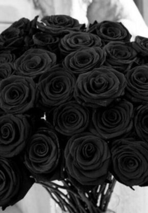 Black Rose Bouquet, Black And Gold Aesthetic, Rose Flower Photos, Black Rose Flower, Black Lover, Everything Black, Yennefer Of Vengerberg, Aleister Crowley, Rosé Aesthetic