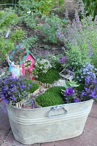 This Fairy Garden made its home Container Gardening Ideas, Fairies Garden, Fairy Garden Designs, Faeries Gardens, Mini Fairy Garden, Mini Gardens, Miniature Gardens, Fairy Garden Ideas, Have Inspiration