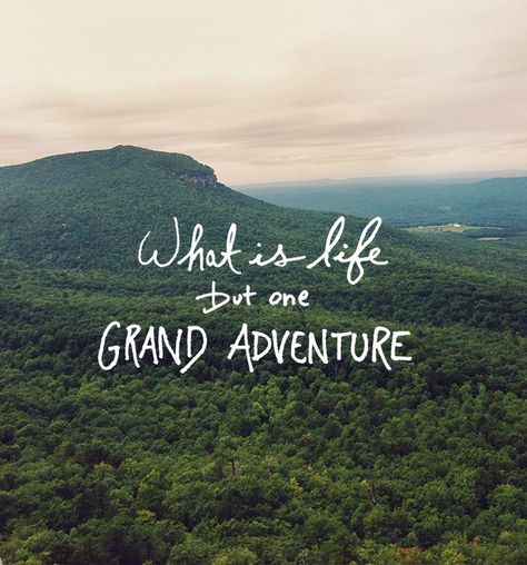 tattoo quote Adventure Quotes Outdoor, Citation Nature, What Is Life, Quotes Adventure, Now Quotes, Wanderlust Quotes, Funny Disney, Travel Quotes Adventure, Life Quotes Love