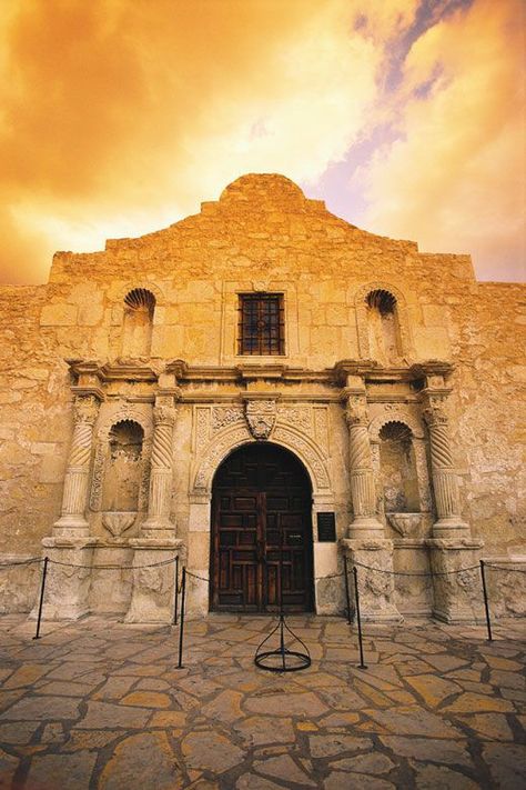 Alamo San Antonio, Mexican Army, Downtown San Antonio, Texas Forever, The Alamo, San Jacinto, Travel Log, Sleeve Ideas, Bucket List Travel