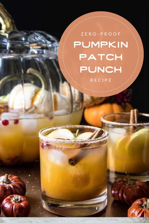 Mocktails Non Alcoholic Pumpkin, Cold Fall Drinks Non Alcoholic, Fall Mocktails Non Alcoholic Big Batch, Fall Mock Tails, Pumpkin Mocktails, Fall Mocktails Non Alcoholic Easy, Fall Punch Recipes Non Alcoholic, Fall Mocktail Non Alcoholic, Punch Mocktail