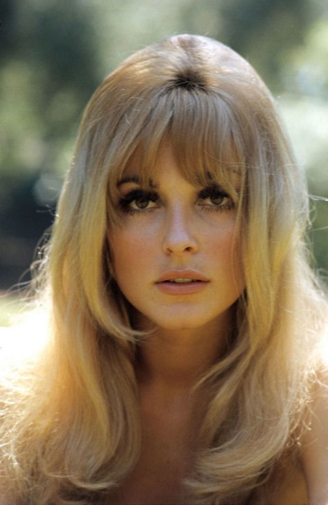 Sharon Tate 1960s Hair, 60s Hair, 70s Hair, Sharon Tate, Vintage Hair, Grunge Hair, Vintage Hairstyles, Classic Beauty, Vintage Beauty